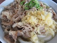 肉うどん