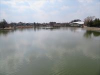 開成山公園 五十鈴湖